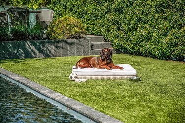 greemotion Лежанка для собак з поліротангу з подушкою, 95 x 15 x 65 см, розміри подушки 95 x 15 x 8 см