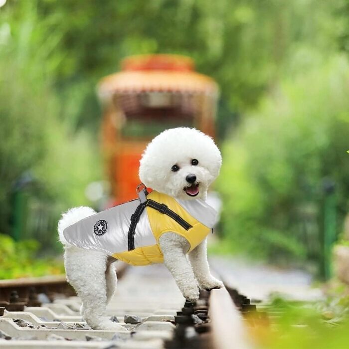 Водонепроникний собачий плащ, тепла зимова куртка для собак, жилет для собак з шлейкою, дощовик для собак, вітрозахисний, з відбивачами, теплий для маленьких, середніх та великих собак (синій, SI L синій)