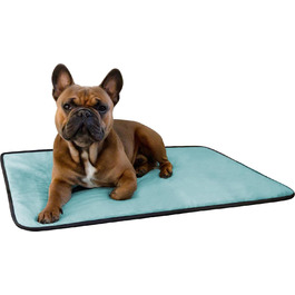 розмір: 50 см x 60 см