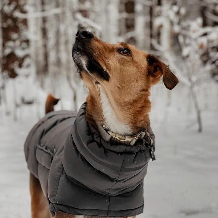 Зимовий теплий куртка для собак, водонепроникний зимовий одяг, тепла куртка від снігу, одяг для тварин, теплий одяг для великих собак, сірий колір