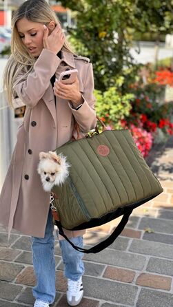 Чорничний собачий рюкзак Flying Dog Sunny 3-в-1: переноска, автокрісло та лежак для собак до 10 кг, оливковий колір