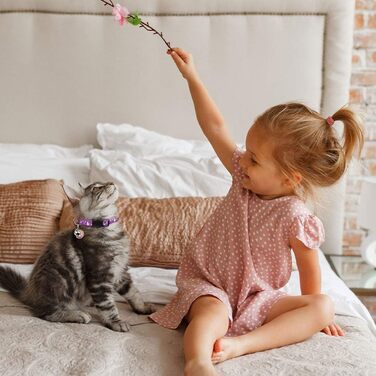 Нашийники для котів зі дзвіночком, світяться в темряві, регульовані, 20-33 см, червоний та фіолетовий, 2 шт.