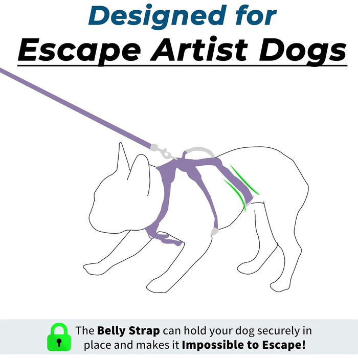 Нашийник для собак Wuffley з повідком, безпечний, анти-тяга, з ручкою, світловідбиваючий, регульований, для середніх собак (Lila, M)