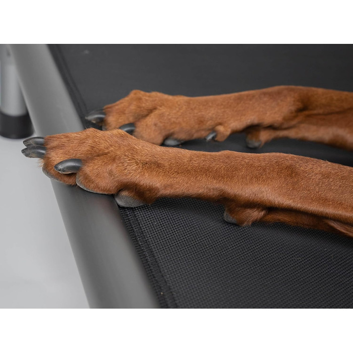 TrendPet HighBed: підняне ліжко для собак з алюмінію (105x80 см), преміум-якість