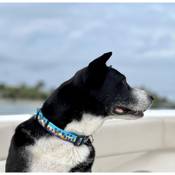 Shaka's Salty Paws нашийник для собак Sunset Palms, регульований, для великих порід, 45,7-66 см, 22,7-40,8 кг