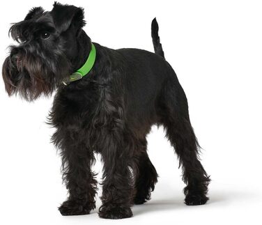 Нашийник для собак HUNTER CONVENIENCE, пластик, зелений (S-M)