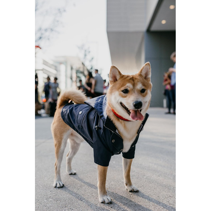 Дощовик для собак Ellie Dog Wear, водонепроникний, з капюшоном, блискавкою, кишенями, світловідбивними кнопками, регульований шнурок, розмір XS-XL, темно-синій