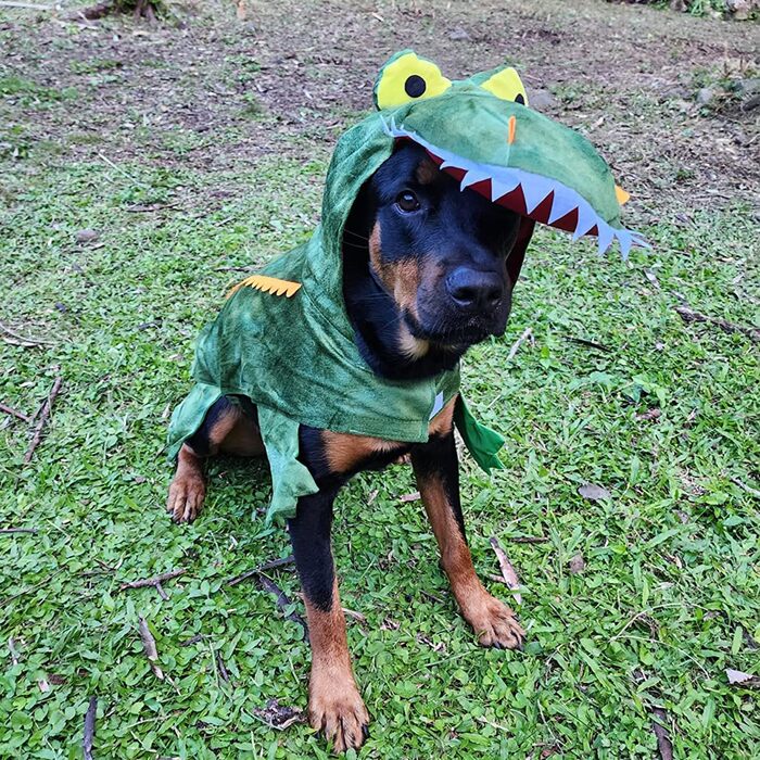 Костюм для собак на Halloween: крокодил-динозавр, теплий зимовий костюм-комбінезон, розмір L (8,2–18 кг), зелений