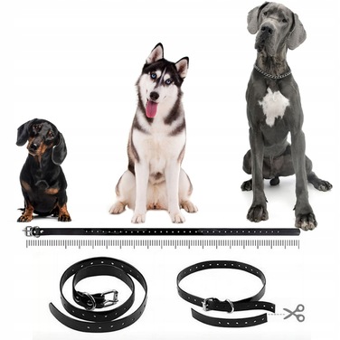 Електричний тренувальний нашийник для собак Save, чорна шкіра, розмір L/XL