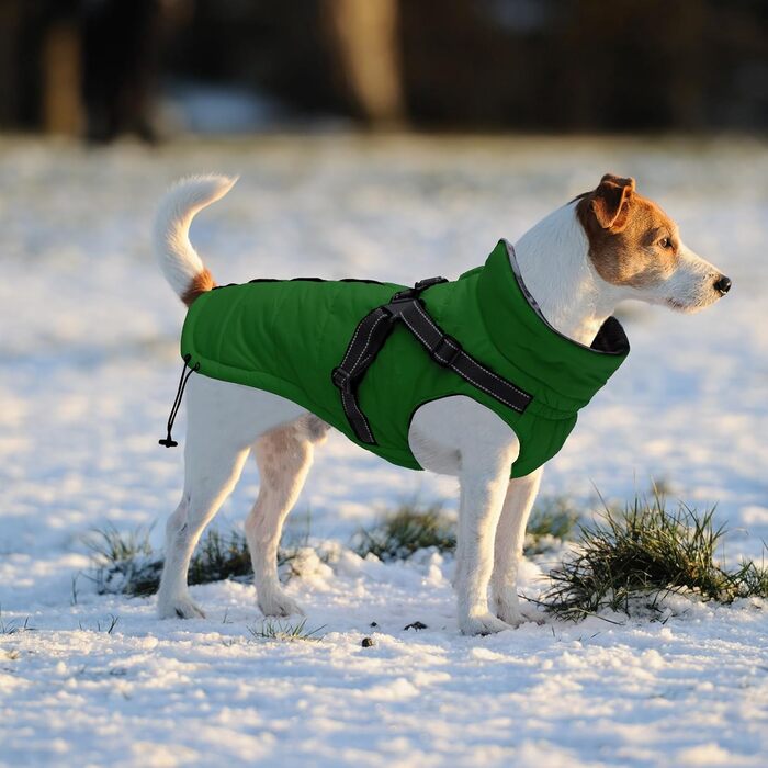 Зимові куртки для собак, шлейки, водонепроникна куртка з флісовою підкладкою, відображаюча, персоналізована, оранжевий, XL (довжина спини 44 см), XXL (довжина спини 52 см), зелений