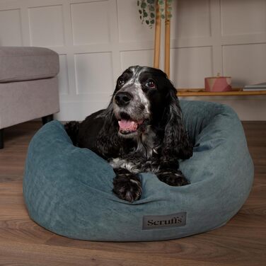 Нашийник для собак Scruffs Oslo Ringbett, 55 см (Lake Teal, XXL)