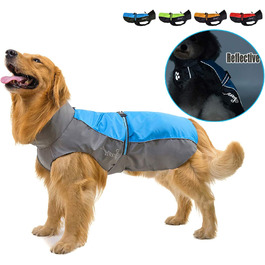 колір: блакитне та сіре