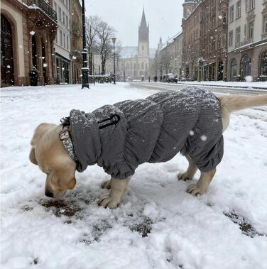 Водонепроникна куртка для собак Kukaster - тепла зимова жилетка для маленьких та середніх собак, сірий колір, S