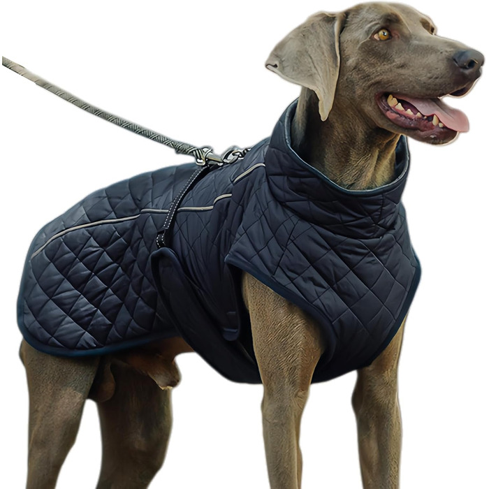Зимовий теплий одяг для собак - Вітростійка жилетка-світловідбивач для собак, теплий зимовий одяг для собак | Для активного відпочинку: походи, пікніки, кемпінг, катання на лижах, прогулянки містом (Темно-синій)
