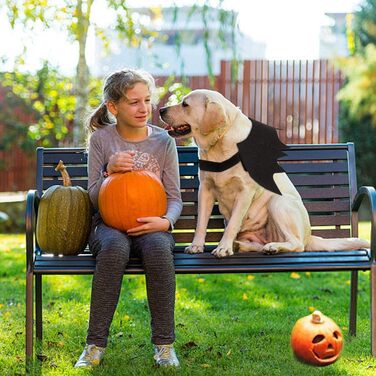 Костюм кажана для тварин: набір для кота та собаки, аксесуар для Хелловіну, косплей, вечірка, декор, чорний