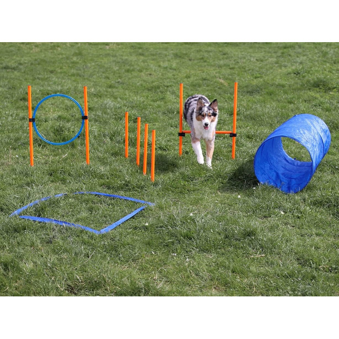 Набір для аджиліті Lemodo для малих та середніх собак | Набір для дресирування з бар'єрами, тунелем та кільцем | Початковий набір для собачого спорту