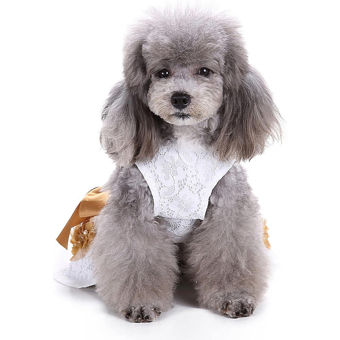 Сукня для собак LifeWheel: елегантний наряд для маленьких та середніх собак, цуценят. Сукня принцеси з мереживом, тепла, для святкування (Halloween, Різдво, весілля) - білий колір.