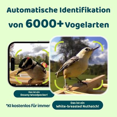 Розумна годівниця для птахів Netvue Birdfy з камерою, сонячною панеллю, 3L, автоматична ідентифікація птахів, для спостереження за дикими птахами