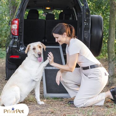 Рампа для собак у машину, складана – 174 см, 38 см – протиковзка гумова поверхня, для великих собак – стійка сходинка для авто та SUV – вантажопідйомність 136 кг – чорна (світло-сіра)