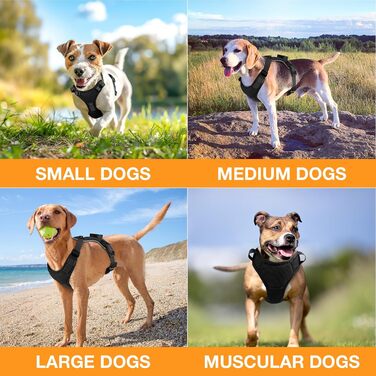 Світловідбиваючий нашийник для собак великих порід Feycig з LED підсвічуванням, акумуляторний, регульований, 3 режими освітлення, висока видимість (Чорний, Large)