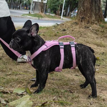 Нашийник для собак Wuffley з повідком, безпечний нашийник від вислизання, нашийник від тяги з ручкою, світловідбиваючий, регульований, для великих собак (M), (Дуже маленький, фіолетовий)