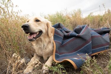 Плед Carhartt Gear P0000284 Shadow Blanket Stripe, універсальний розмір