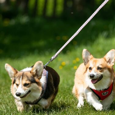 Повідок для собак HUGO & HUDSON, тренувальний, з кліпсою у ручці, морський синій і червоний, 120×1,5 см