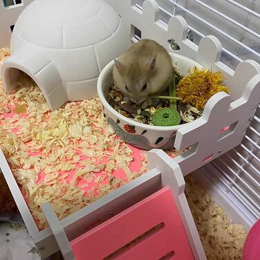 Миски для хом'яків Balacoo, круглі, керамічні, 2 шт. - для дрібних тварин, кроликів, мишей, морських свинок, їжаків, фіолетовий/блакитний