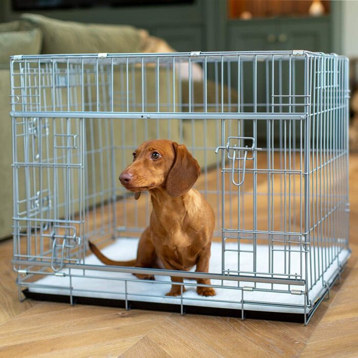 Металева клітка для собак із розсувними дверима Lords & Labradors, срібляста, розмір M, міцна переноска для середніх домашніх тварин