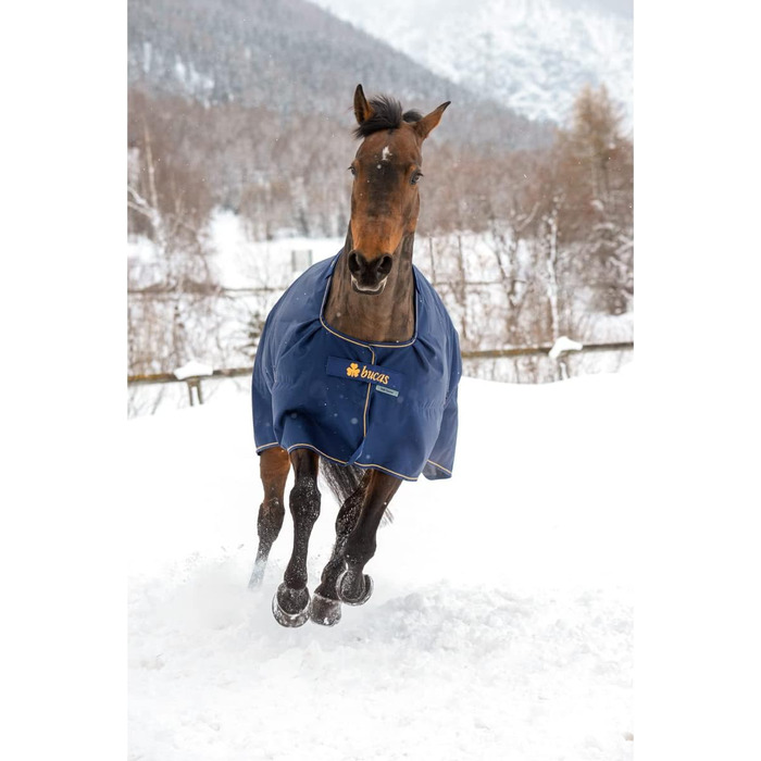 Зимова кінська попона Bucas Irish Turnout 300 г, navy/gold, Rip-Stop, Silk-feel