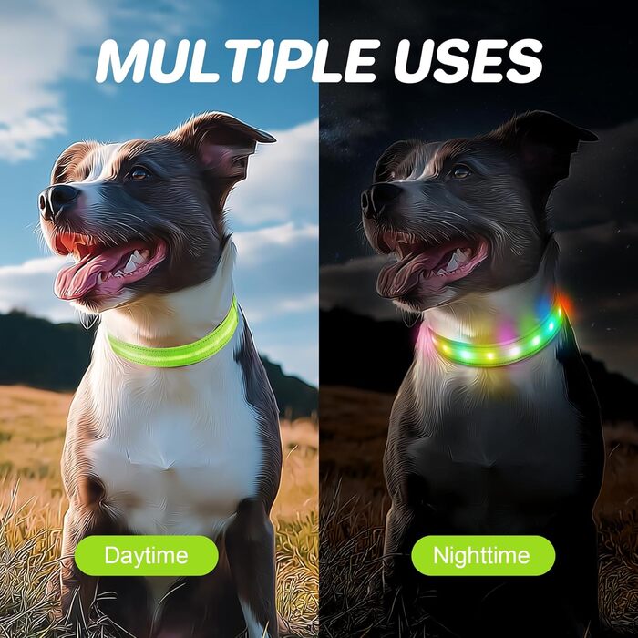 Світлодіодна нашийник для собак Feycig з USB-зарядкою - водонепроникний, регульований, 3 режими, для малих, середніх та великих собак (світло-зелений, L(48-60см))