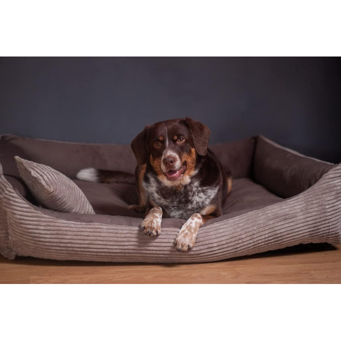 4L Textil Hundebett Molly - зручне ліжко для собак середніх порід, м'який велюр, коричневий колір (100x80 см)