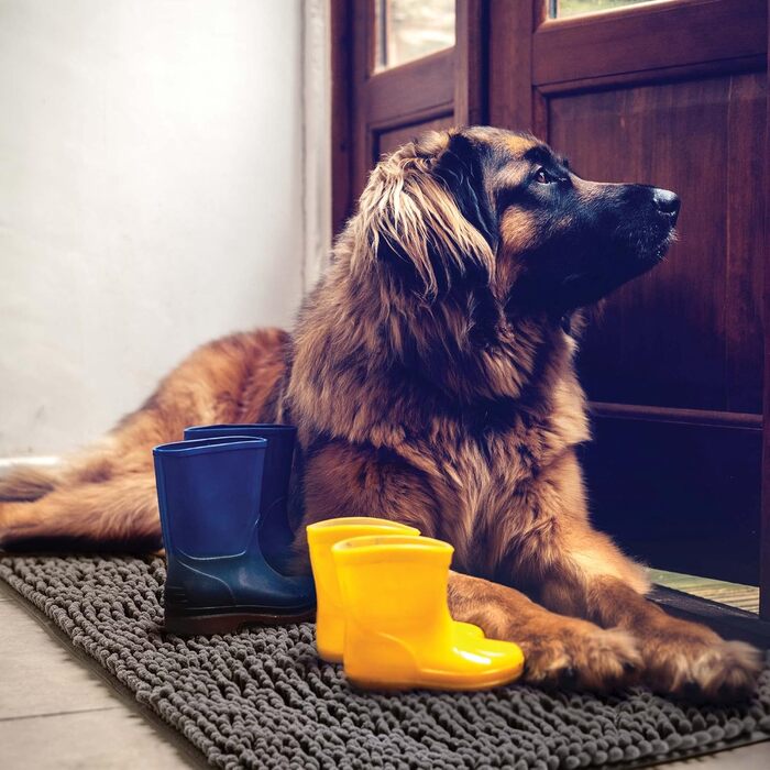 DogBuddy килимок для собак, ультра поглинаючий, водонепроникний, праний, для мисок і входу, середній, сірий, для цуценят і домашніх тварин