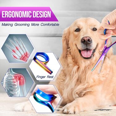 Набір професійних ножиць для грумінгу собак Gimars 4CR, 5-в-1, з титановим покриттям та безпечними закругленими кінцями