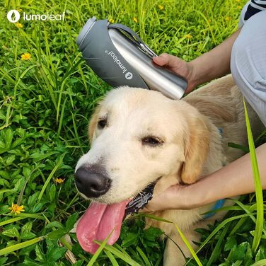 Пляшка для води для собак LumoLeaf 800 мл, нержавіюча сталь, портативна поїлка для тварин, дорожній аксесуар для прогулянок і кемпінгу, сіра