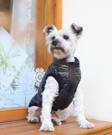Зимовий теплий водонепроникний теплий зимовий одяг для собак з кільцем D, суперлегкий, для маленьких собак, кошенят, цуценят (XS, Чорний)