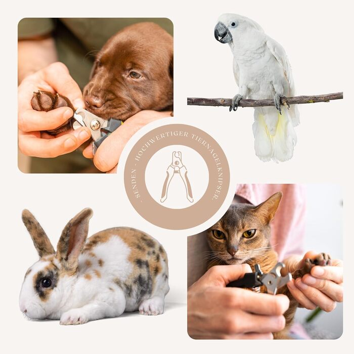 Інструмент для підстригання кігтів собак, котів та інших тварин | З пилочкою, лезами з нержавіючої сталі, захисним замком та чохлом – великий | Для догляду за лапами та кігтями