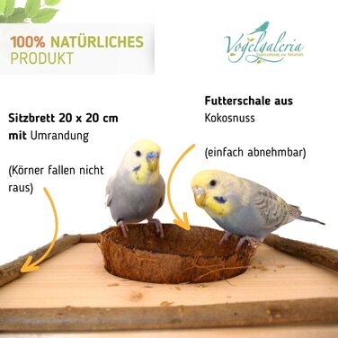 Сидіння для птахів Vogelgaleria з кокосовою мискою, знімна годівниця, іграшка та кормове сидіння для папуг і канарок