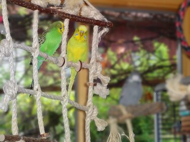 Іграшка для папуг Vogelgaleria 3 в 1: лазіння, сидіння, гризіння, з сизалю та натурального дерева, аксесуар для хвилястих папуг