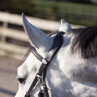 Тренса QHP Sunna без вуздечки, розмір VB, чорного кольору