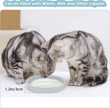 Набори мисок для котів та собак Bebeibon: силіконові, неслизькі, 330 мл, сірі (2 шт.)