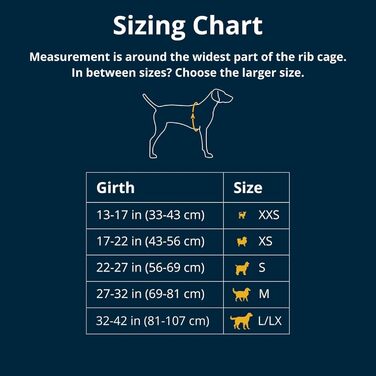 Шлейка Swamp Cooler від Ruffwear для собак з ручкою, легке прохолодне спорядження для собак, регульована, міцна та охолоджуюча, 2 петлі для повідків, Biolumin Blue (Small, 56-69 см)