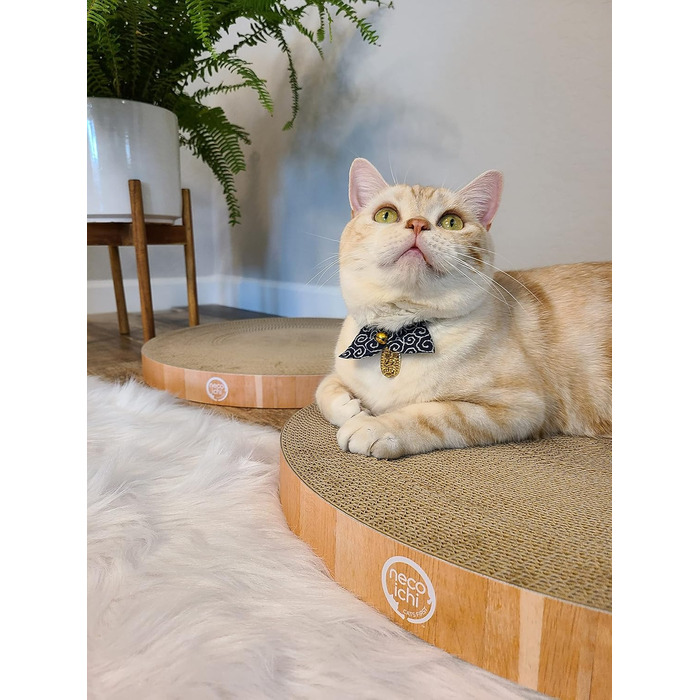 Кігтеточка-лежанка Necoichi Cozy Kratznapf для котів, 1.31 кг (підкладка дуб, Regular)