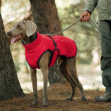 Зимовий теплий жилет для собак | Вітростійкий бавовняний жилет - теплий та м'який жилет для собак, для пікніків, прогулянок, катання на лижах, кемпінгу та міських прогулянок (червоний)