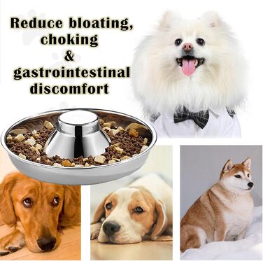 Набори мисок для цуценят Nexboraque (2 шт.) з нержавіючої сталі – 25,4 см, повільне годування, для кількох цуценят, собак та котів