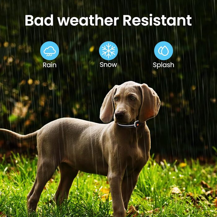 Світлодіодне нашийник для собак Masbrill з підзарядкою, 7 кольорів RGB, 8 режимів свічення, регульований, водонепроникний, для собак малого, середнього та великого розміру, чорний, розмір M