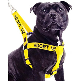 Жилет для собак ADOPTIER MICH жовтий, не тягне, нейлоновий, розмір L-XL, для благодійності