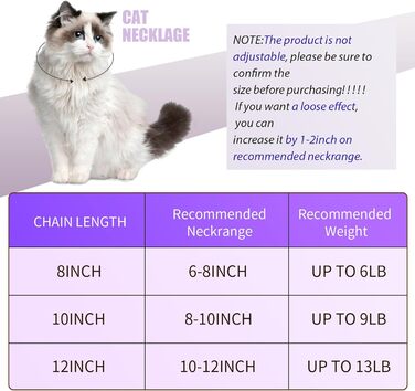 Нашийник для котів Hillban з діамантовою інкрустацією, блискучий, металевий з надійним замком, з кулоном у вигляді лапки та ID-біркою, дзвіночком, аксесуари (20,3 см, сталь, чорний, фіолетовий, 25,4 см)