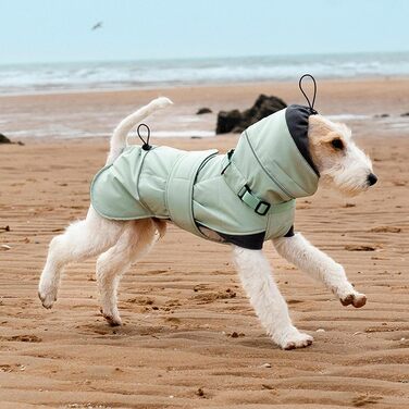 Зимовий одяг для маленьких собак: теплий пуловер з флісу, жилет для активного відпочинку, куртка з регульованою шлейкою, безрукавна куртка для цуценят Green L