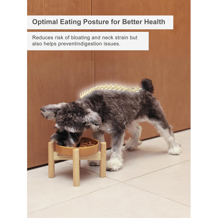 Миска для собак Slow Feeder з кераміки з нековзним силіконовим краєм - пазл-миска для запобігання здуття та ожиріння (Абрикос-S) (Маленька, Хвилі-Абрикос зі стійкою)